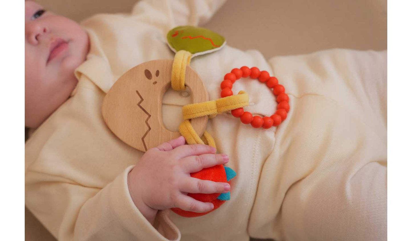 Little Big Friends Teether - Dino