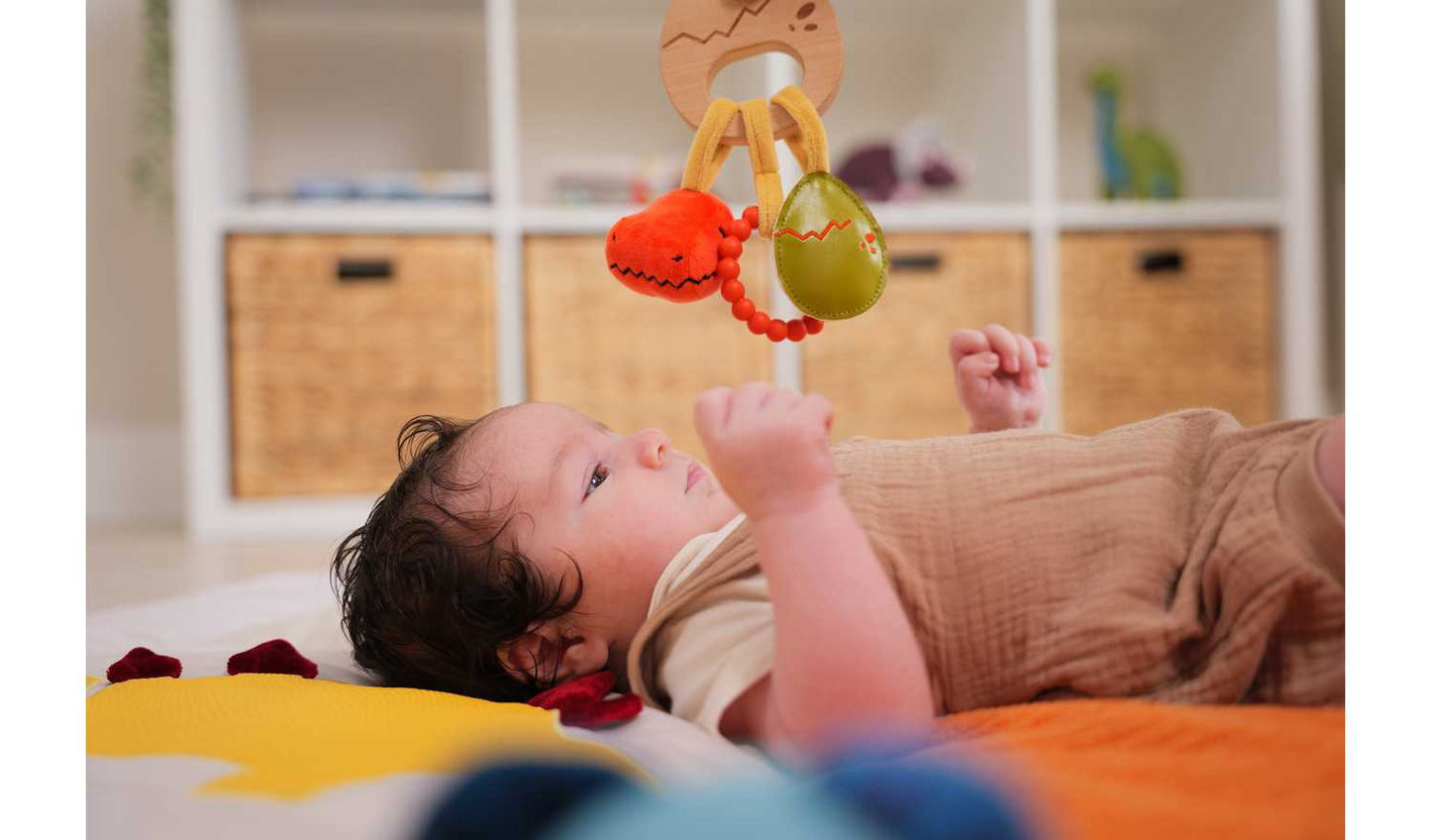 Little Big Friends Teether - Dino