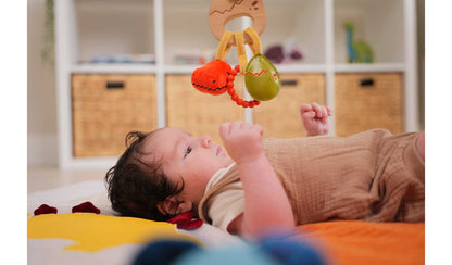 Little Big Friends Teether - Dino