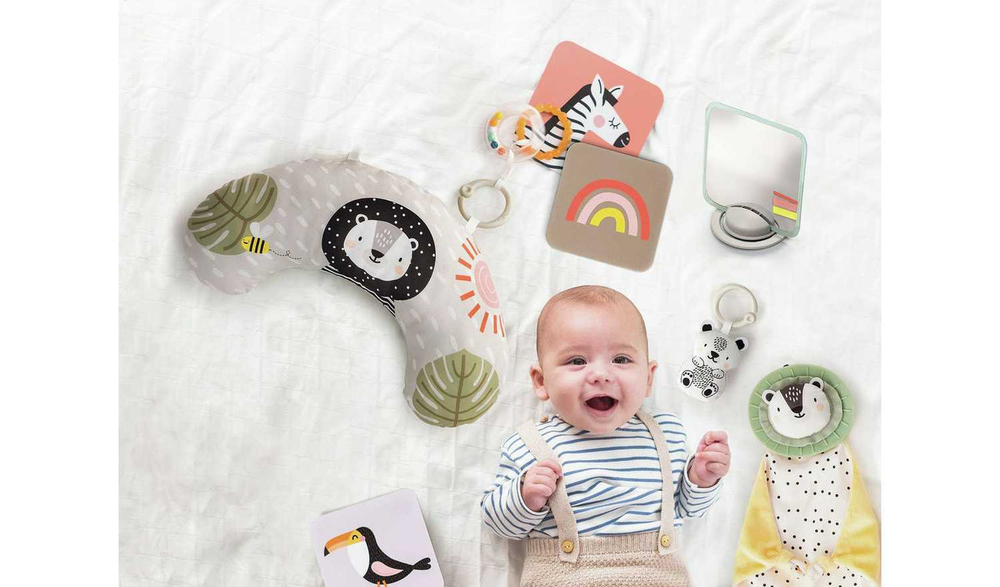 Taf Toys Newborn Play And Develop Gift Set