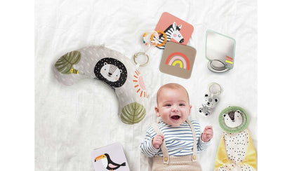 Taf Toys Newborn Play And Develop Gift Set