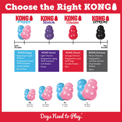 KONG Puppy Chew Treat Toy