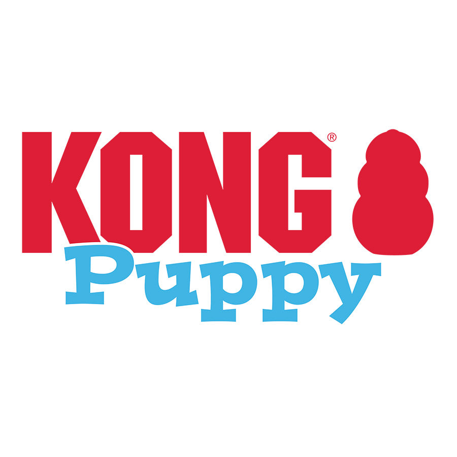 KONG Puppy Chew Treat Toy