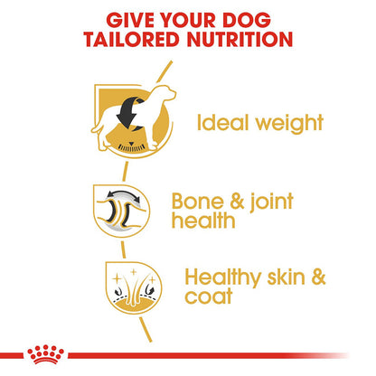 Royal Canin Labrador Retriever Adult Dry Dog Food 12kg