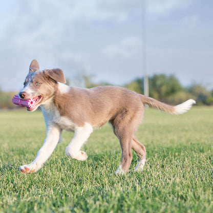 Kong Puppy Teething Stick Dog Toy