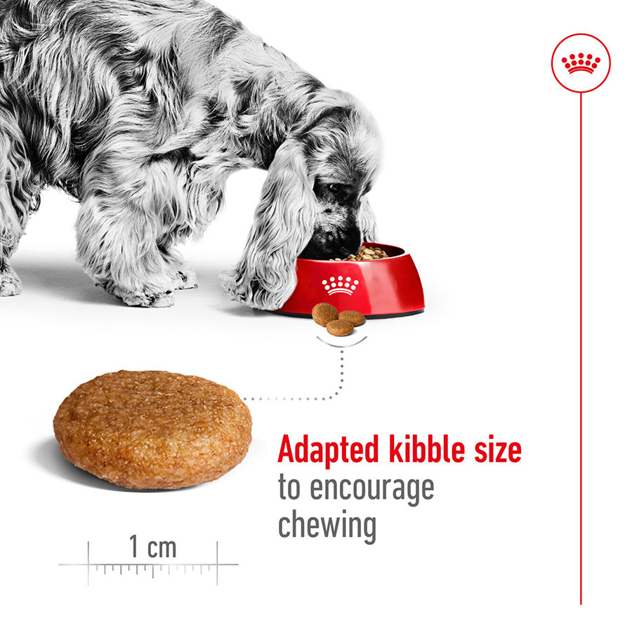 Royal Canin Medium Dry Adult Dog Food 15kg
