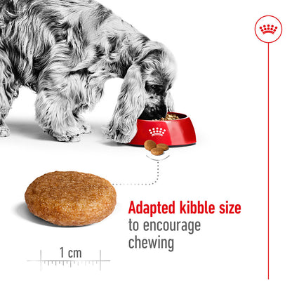Royal Canin Medium Dry Adult Dog Food 15kg