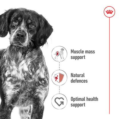 Royal Canin Medium Dry Adult Dog Food 15kg