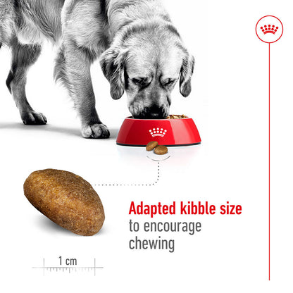Royal Canin Maxi Dry Adult Dog Food 15kg