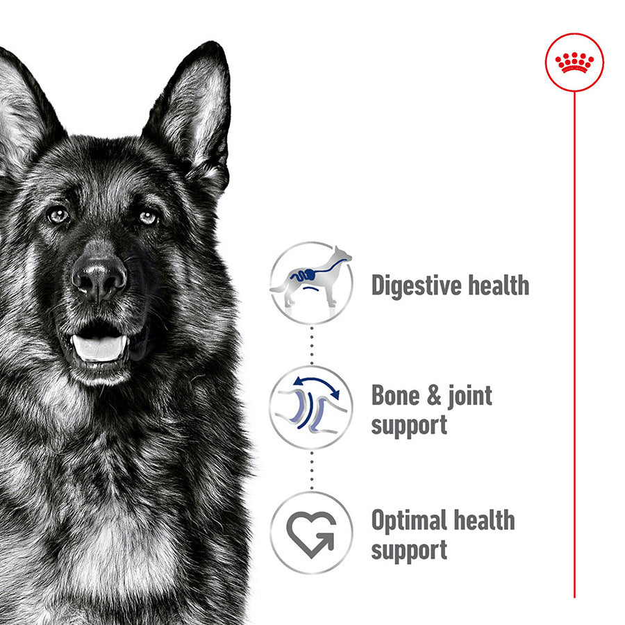 Royal Canin Maxi Dry Adult Dog Food 15kg