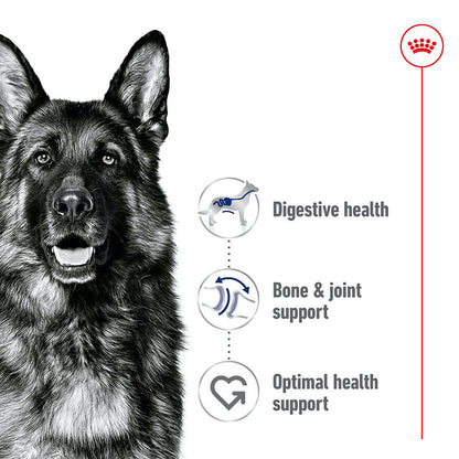Royal Canin Maxi Dry Adult Dog Food 15kg