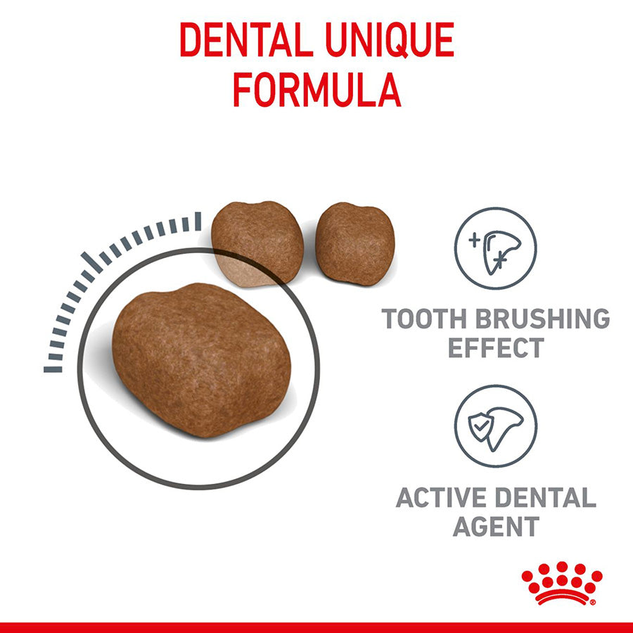 Royal Canin Feline Oral Dry Adult Cat Food
