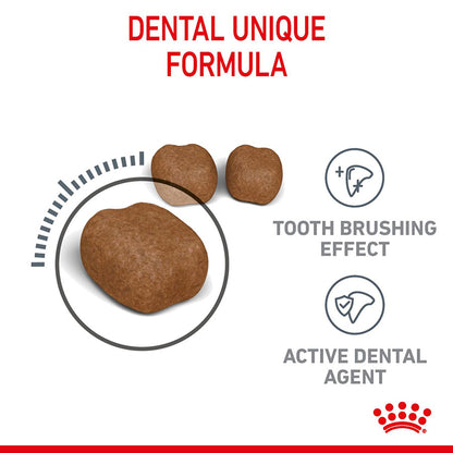 Royal Canin Feline Oral Dry Adult Cat Food