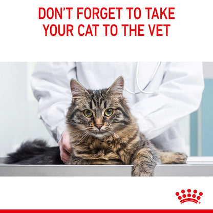 Royal Canin Feline Oral Dry Adult Cat Food