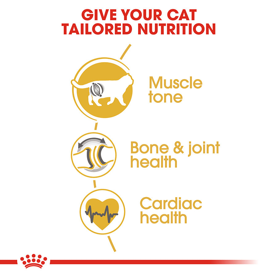 Royal Canin British Shorthair Adult Dry Cat Food 10kg