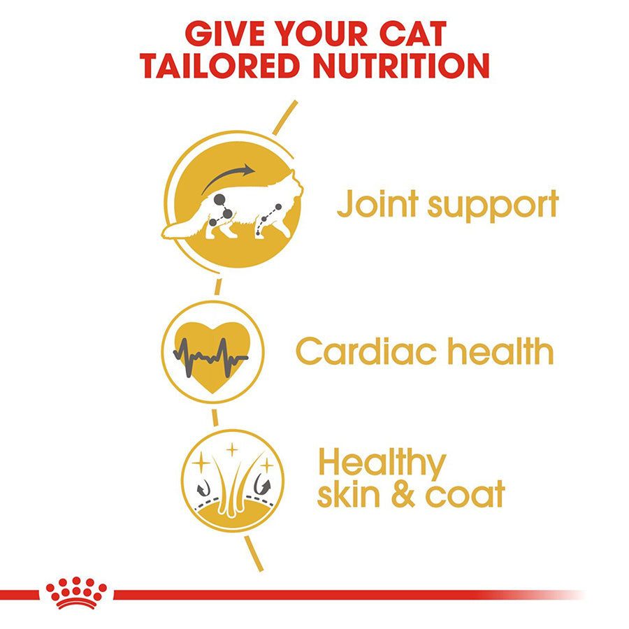 Royal Canin Maine Coon Adult Dry Cat Food 10kg