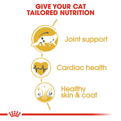 Royal Canin Maine Coon Adult Dry Cat Food 4kg