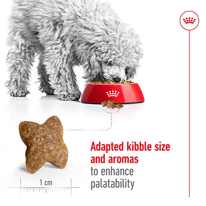 Royal Canin Mini Dry Adult Dog Food