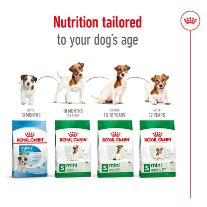 Royal Canin Mini Dry Adult Dog Food