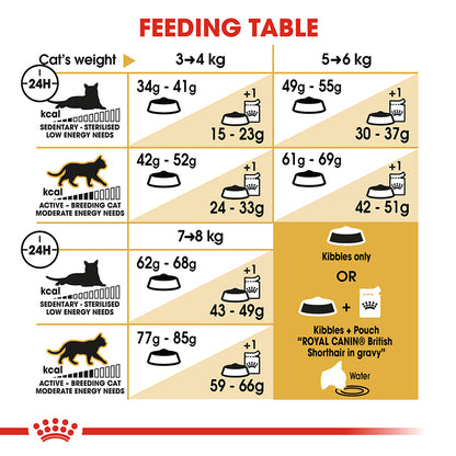 Royal Canin British Shorthair Adult Dry Cat Food 2kg