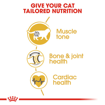 Royal Canin British Shorthair Adult Dry Cat Food 2kg