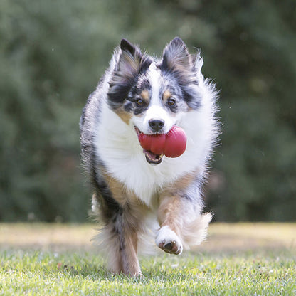 Kong Classic Chew Treat Dog Toy Red