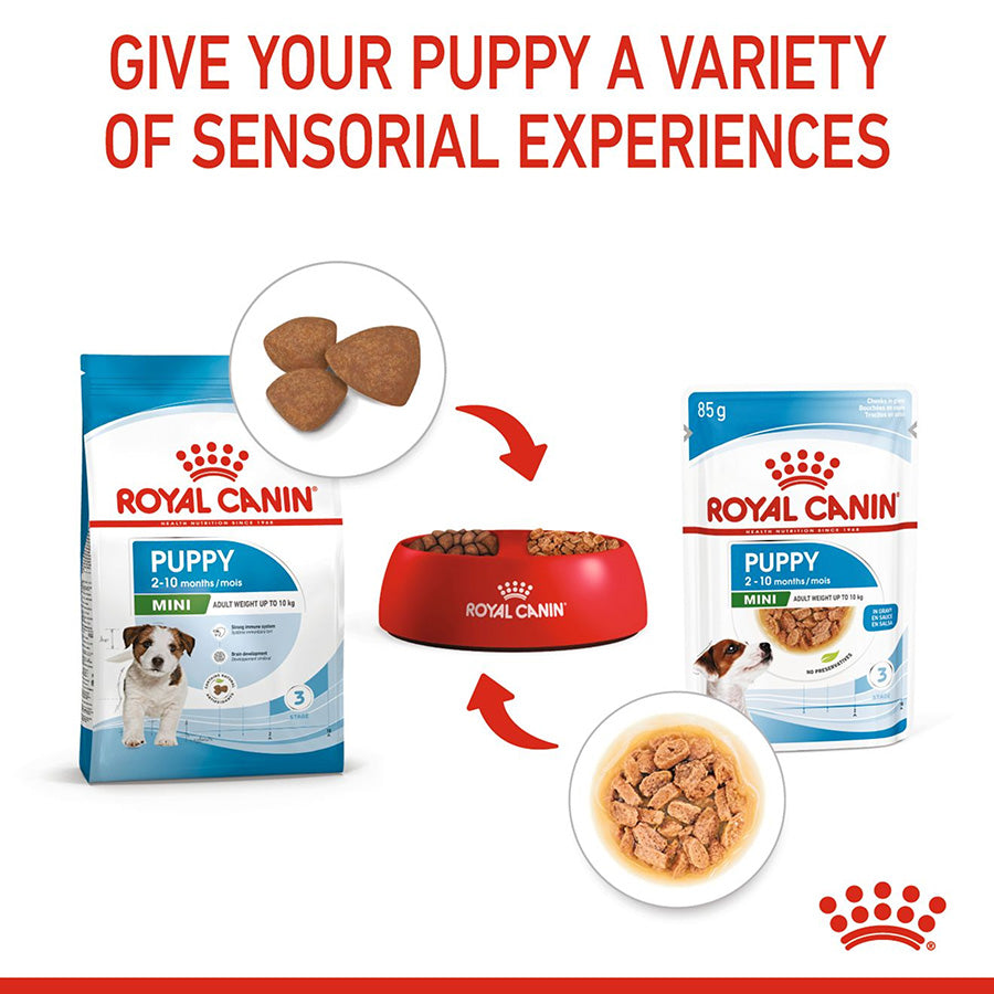 Royal Canin Mini Breed Dry Puppy Food