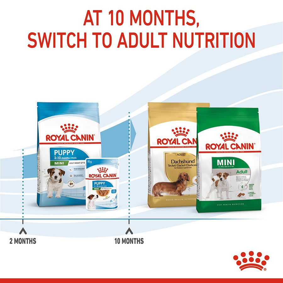 Royal Canin Mini Breed Dry Puppy Food