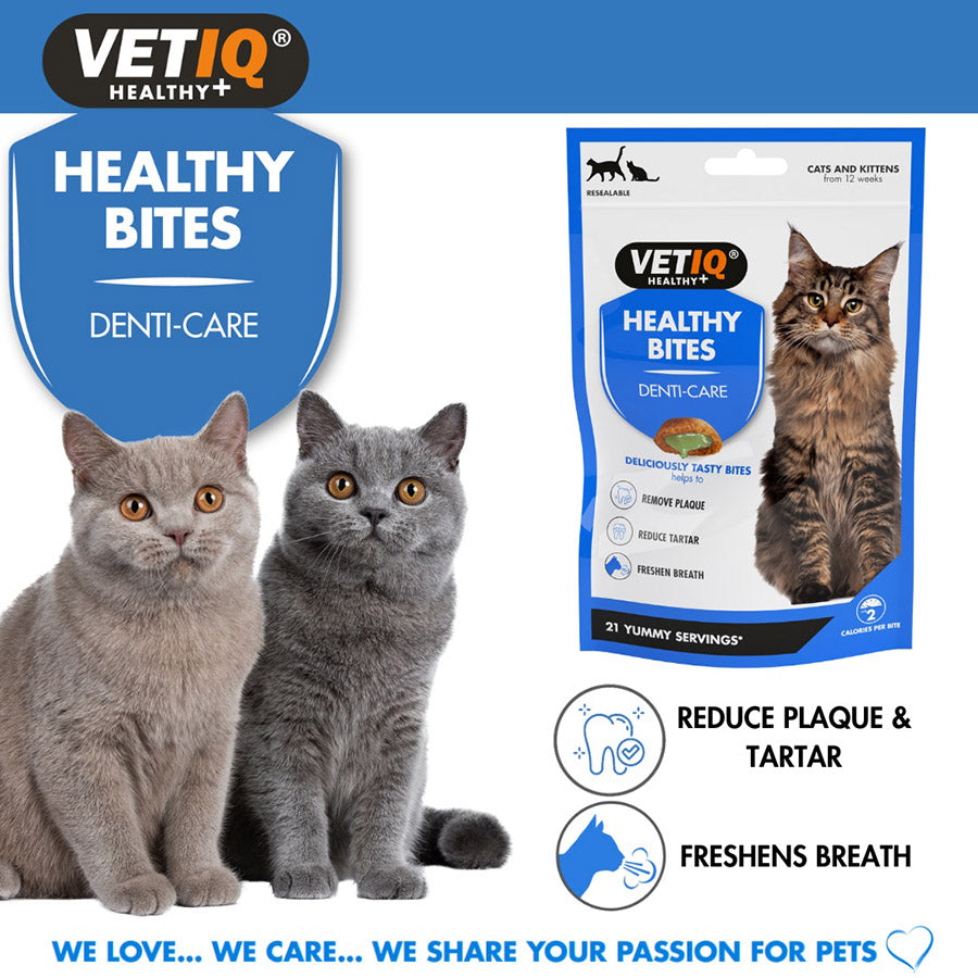 VetIQ Healthy Bites Breath & Dental Cat Kitten Treats 65g