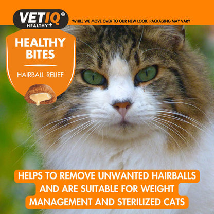 VetIQ Hairball Remedy Healthy Bites Treats for Cats & Kittens 65g