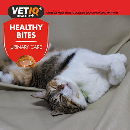 VetIQ Healthy Bites Urinary Care Cat & Kitten Treats 65g