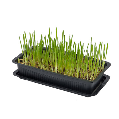Vitakraft Cat Grass