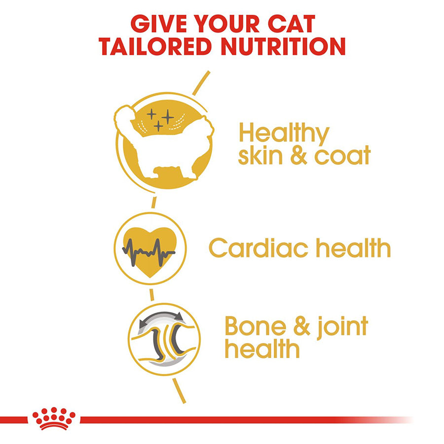 Royal Canin Breed Ragdoll Adult Dry Cat Food 10kg
