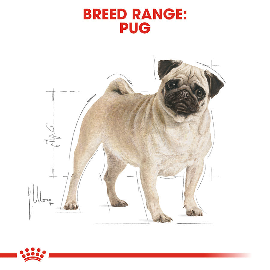 Royal Canin Pug Adult Dry Dog Food 7.5kg
