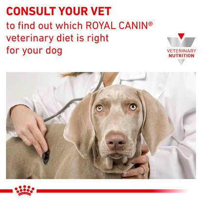Royal Canin Veterinary Gastrointestinal Low Fat Dry Dog Food
