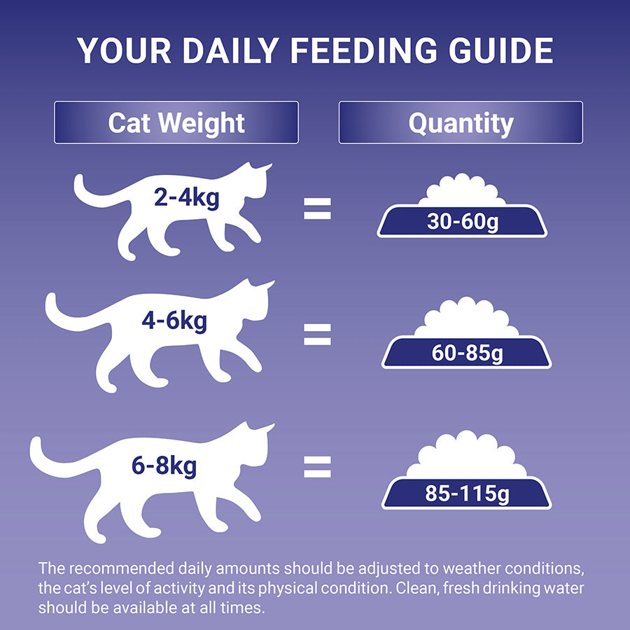 Purina ONE Adult Cat Dry Food Chicken 3kg