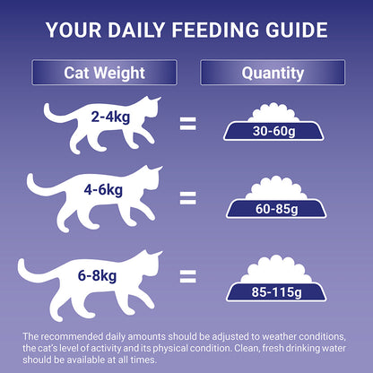Purina ONE Adult Cat Dry Food Chicken 3kg