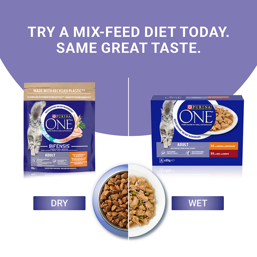Purina ONE Adult Cat Dry Food Chicken 3kg