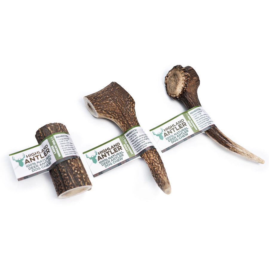 Highland Antler Dog Chew