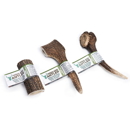 Highland Antler Dog Chew