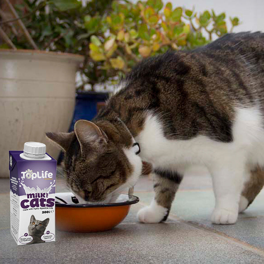 Toplife Cat Milk 200ml