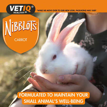 VetIQ Nibblots Small Animals Carrot Treats 30g