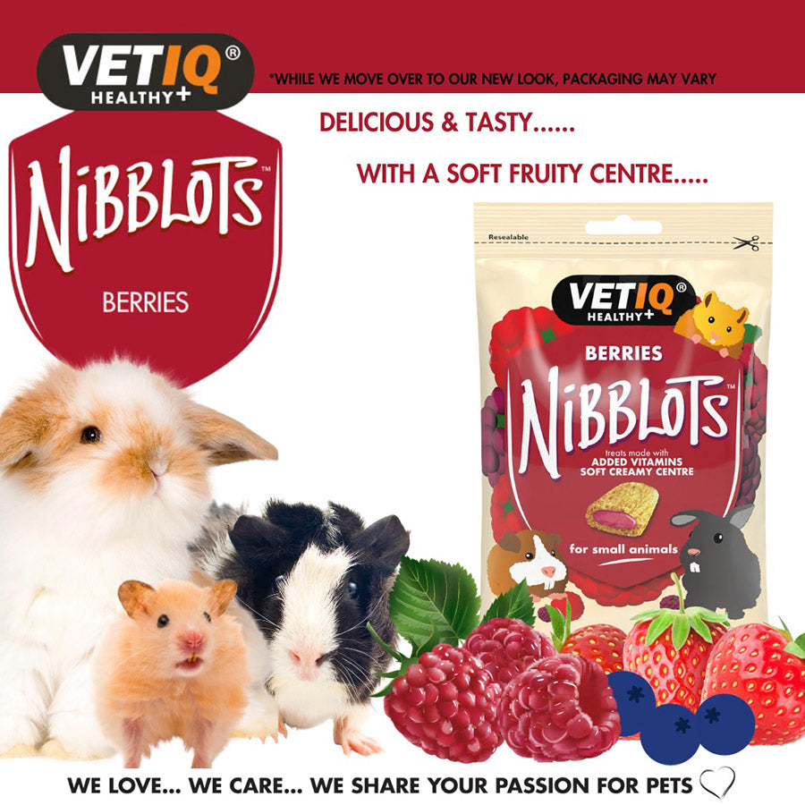 VetIQ Nibblots Small Animals Berry Treats 30g