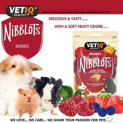 VetIQ Nibblots Small Animals Berry Treats 30g