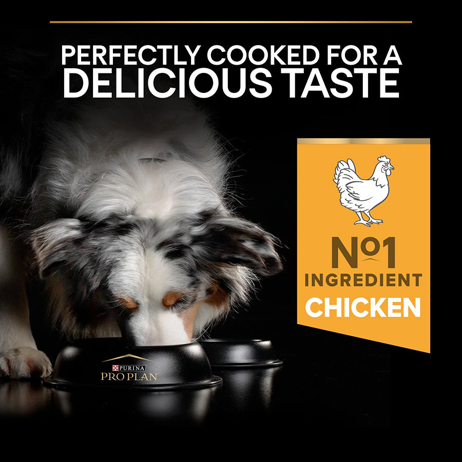 Pro Plan Medium Everyday Nutrition Adult Dry Dog Food Chicken