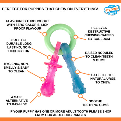 Nylabone Pacifier Puppy Chew Toy X Small
