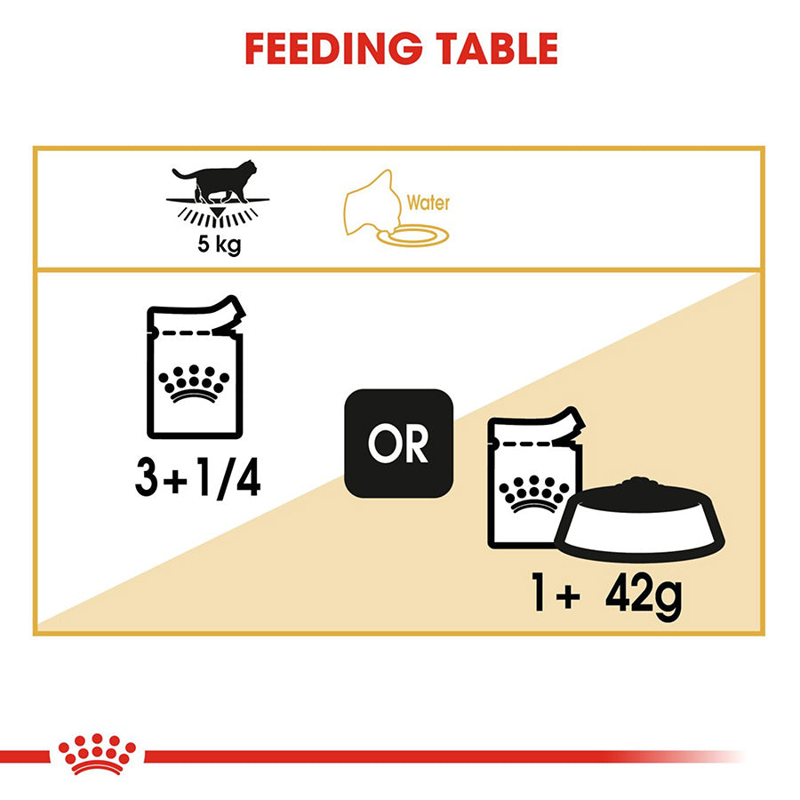 Royal Canin British Shorthair Adult Wet Cat Food 12x85g
