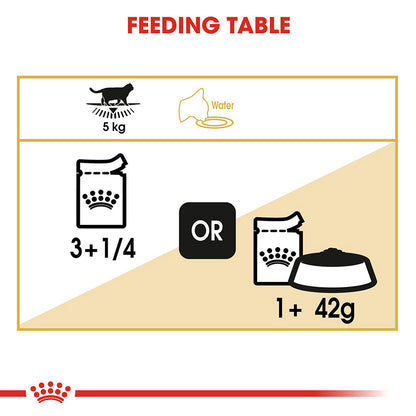 Royal Canin British Shorthair Adult Wet Cat Food 12x85g