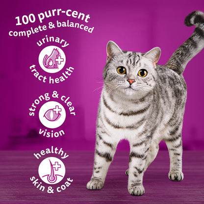 Whiskas 1+ Dry Adult Cat Food Chicken 7kg