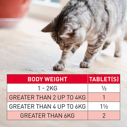 Beaphar WORMclear Worming Tablets for Cats 2 Tablets